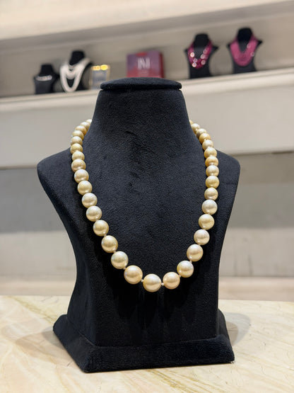 South Sea Pearl Elegance – Classic Single-Strand Necklace