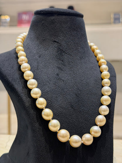 South Sea Pearl Elegance – Classic Single-Strand Necklace