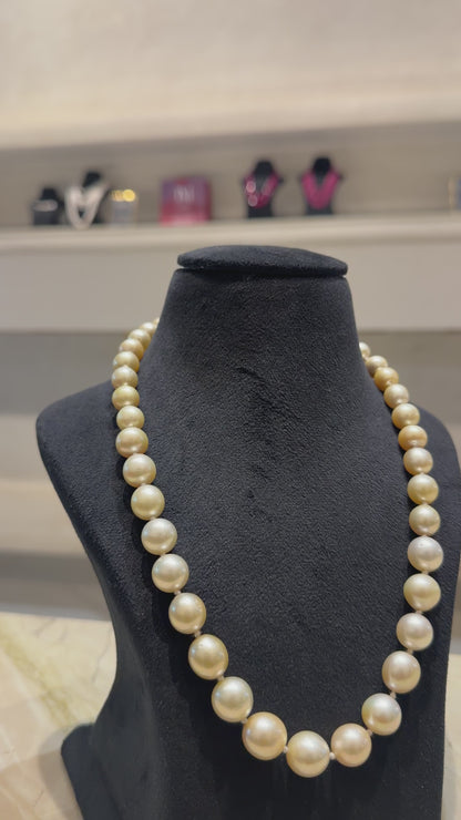 South Sea Pearl Elegance – Classic Single-Strand Necklace